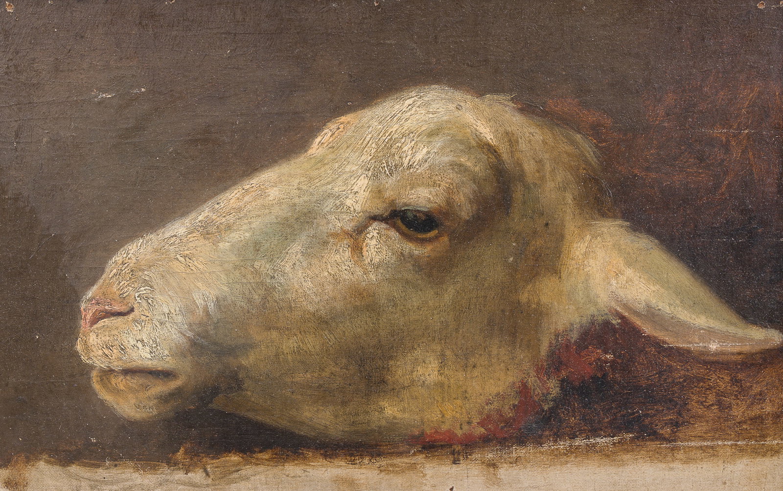 Belgian school: Head of a sheep, oil on canvas marouflated on board, 19th C. (1 of 3)