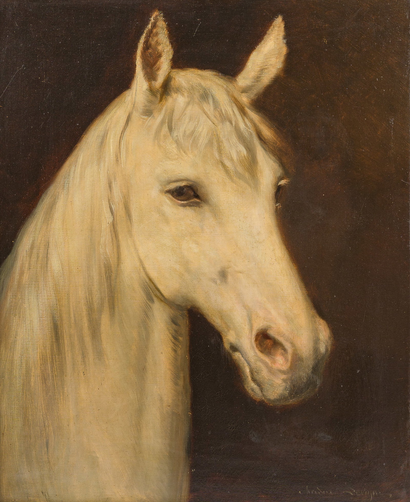 Theodore Levigne (1848-1912): Head of a white horse, oil on canvas (1 of 4)