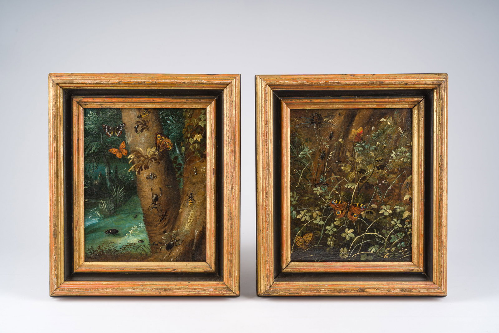 Otto Marseus Van Schrieck (1619-1678): A pair of forest still lifes with butterflies and insects, (1 of 8)