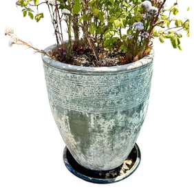 3 Large Ceramic Tree / Plant Pot