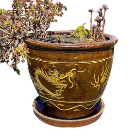 Classic Dragon Ceramic Tree / Plant Pot – 21"H x 24"D
