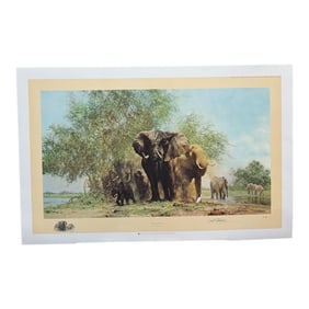 David Shepard "Elephants and Egrets" Signed and Numbered Limited Edition Print