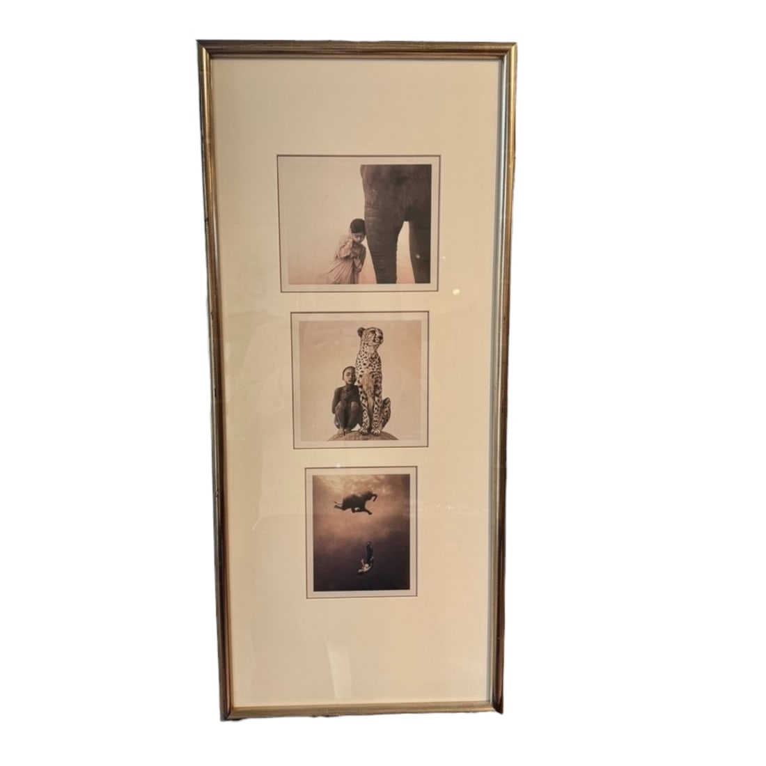 Decorativeframed triple -photo collage set by Gregory Colbert's renowned series Ashes and Snow 14 x: This framed art piece features 3 photographs from Gregory Colbert's renowned series, Ashes and Snow 14 x 33" vertically arranged triptych featuring three evocative wildlife photographic prints present
