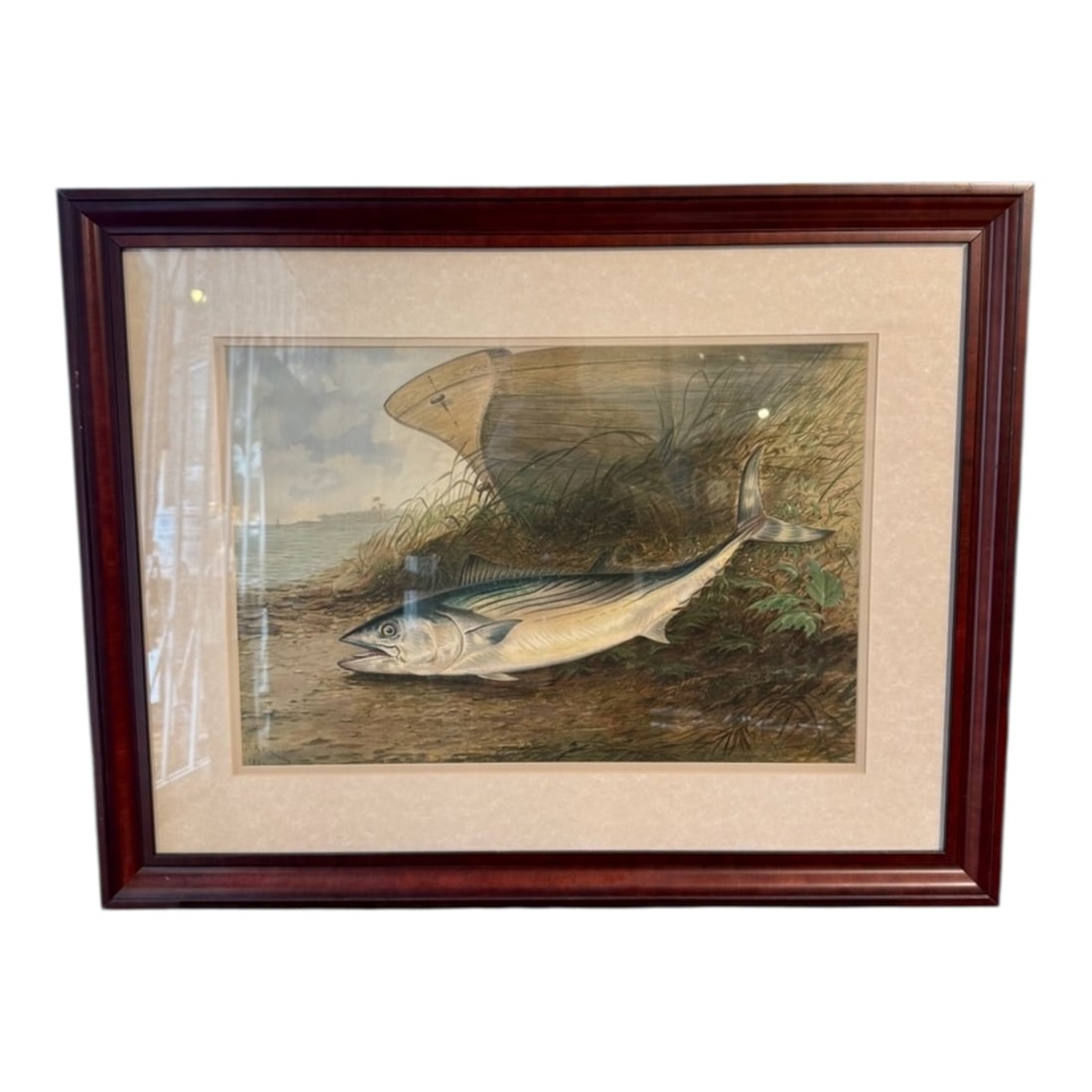 S.A. Kilbourne Framed “Mackerel or Bonito" Coastal Fish Study Print: The interior label reads instructions for stadia measurements and confirms the maker. A beautiful example of early 20th-century engineering craftsmanship, perfect for collectors of scientific instrume