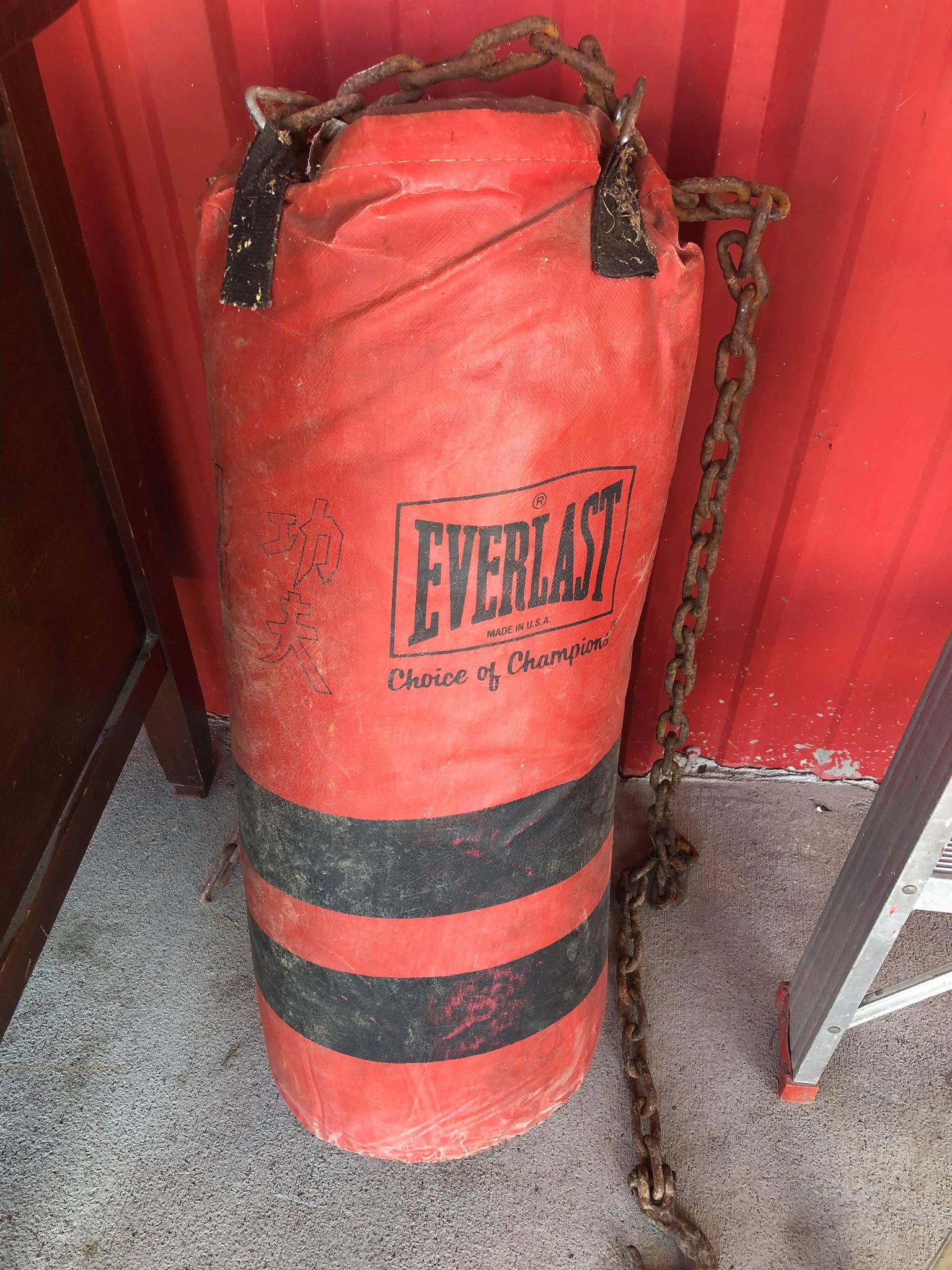 Everlast Punching Bag: Everlast Punching Bag