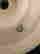 item-107844531=4