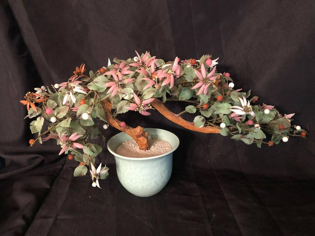 ORIENTAL JADE TREE (24") (1 of 2)
