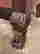 item-108120613=2