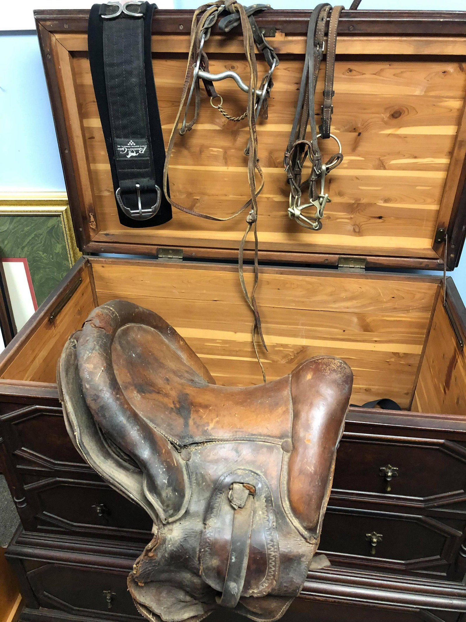 Old Saddle, Bits, Bridles, etc. (1 of 1)