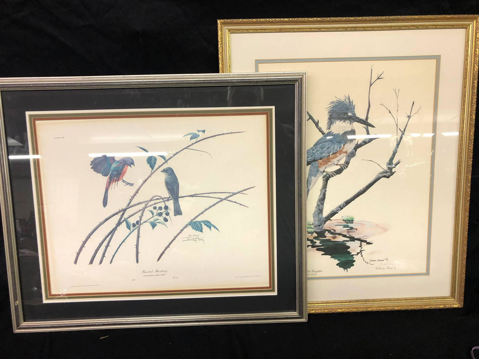 PAIR OF RAY HARM FRAMED PRINTS (1 of 3)