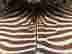 item-120400649=3
