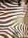 item-120400649=5