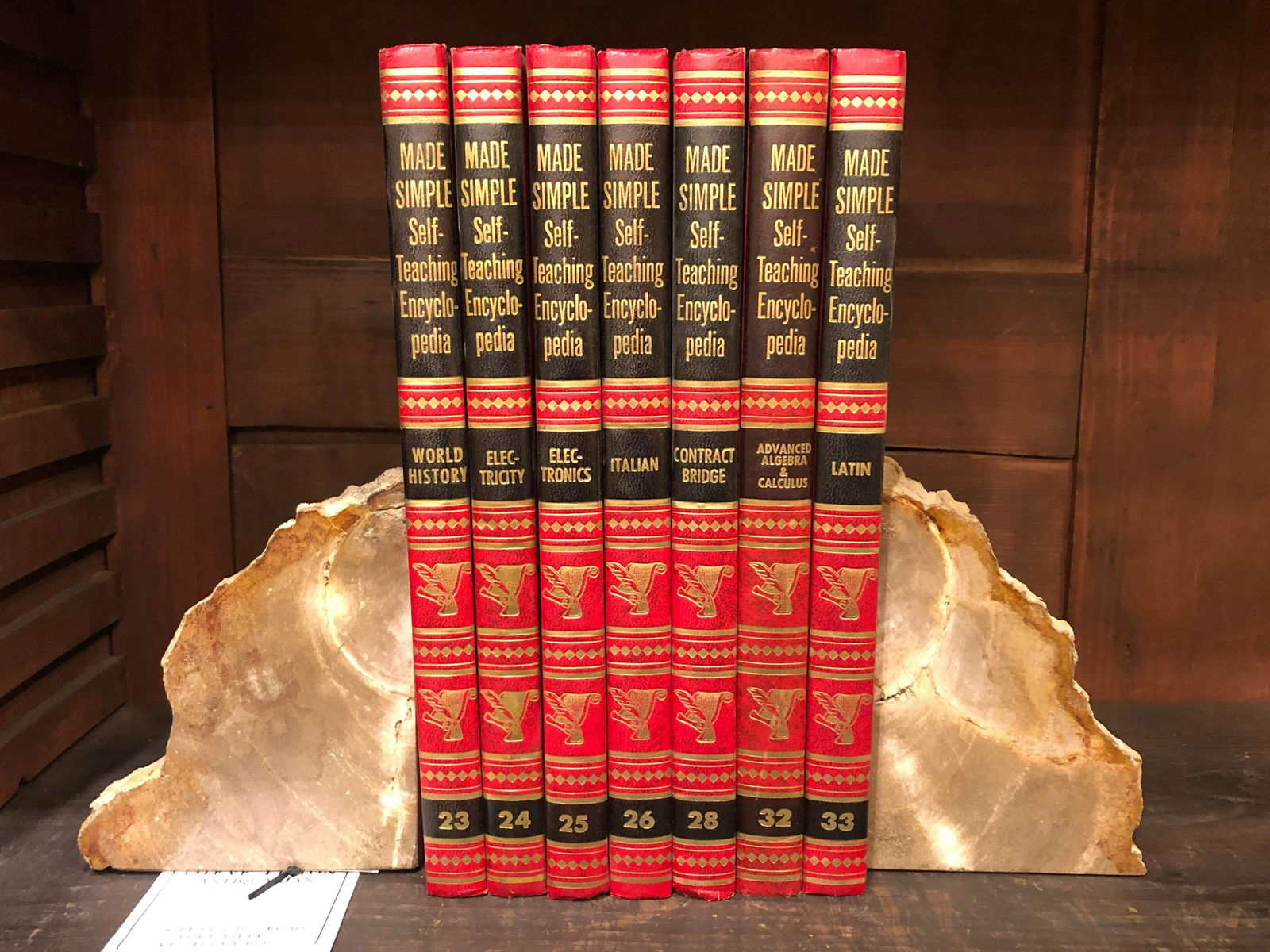 Pair Of Petrified Wood Bookends. (1 of 2)