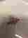 item-120400758=2