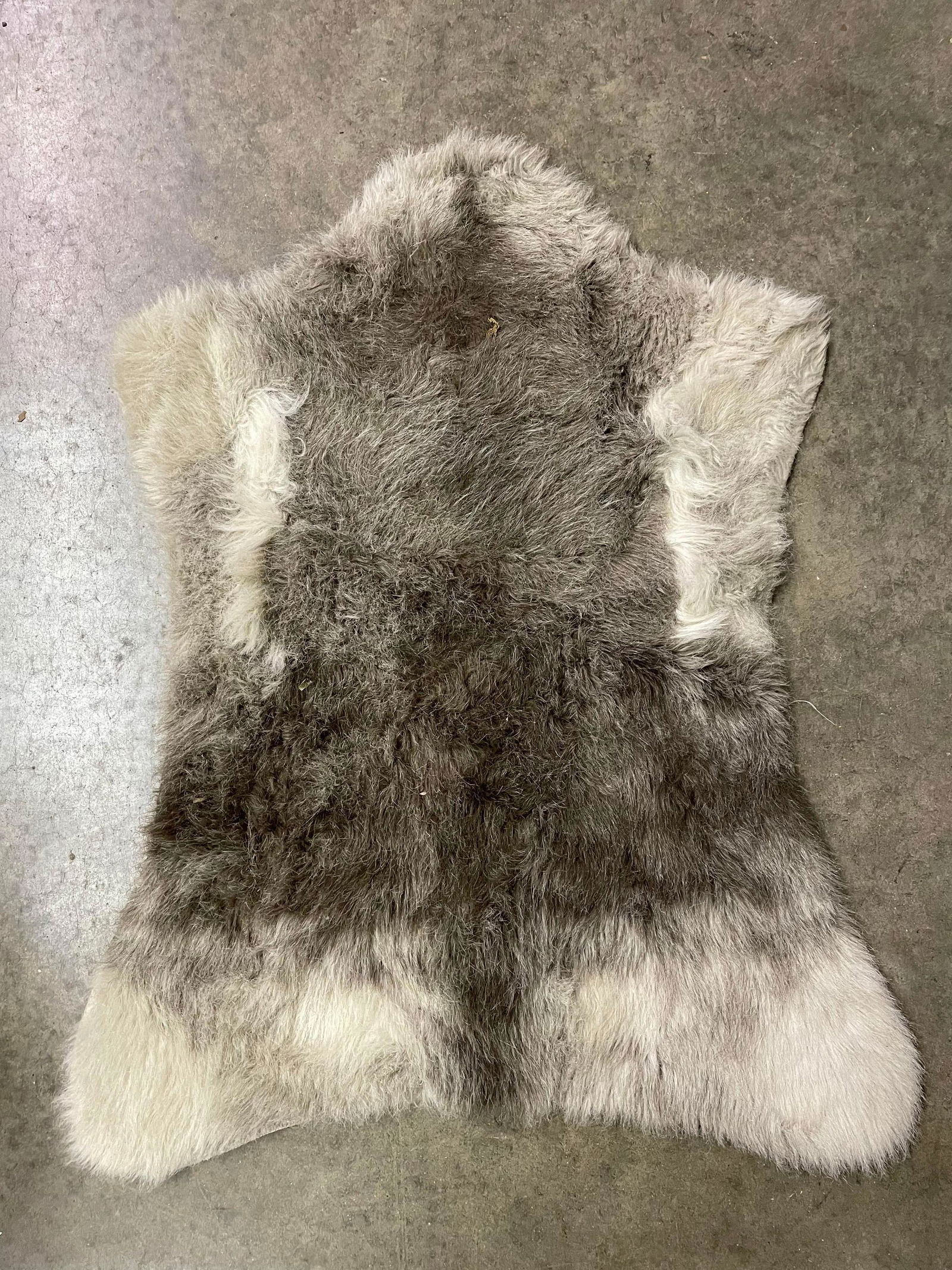 Small Goat Style Pelt (1 of 1)