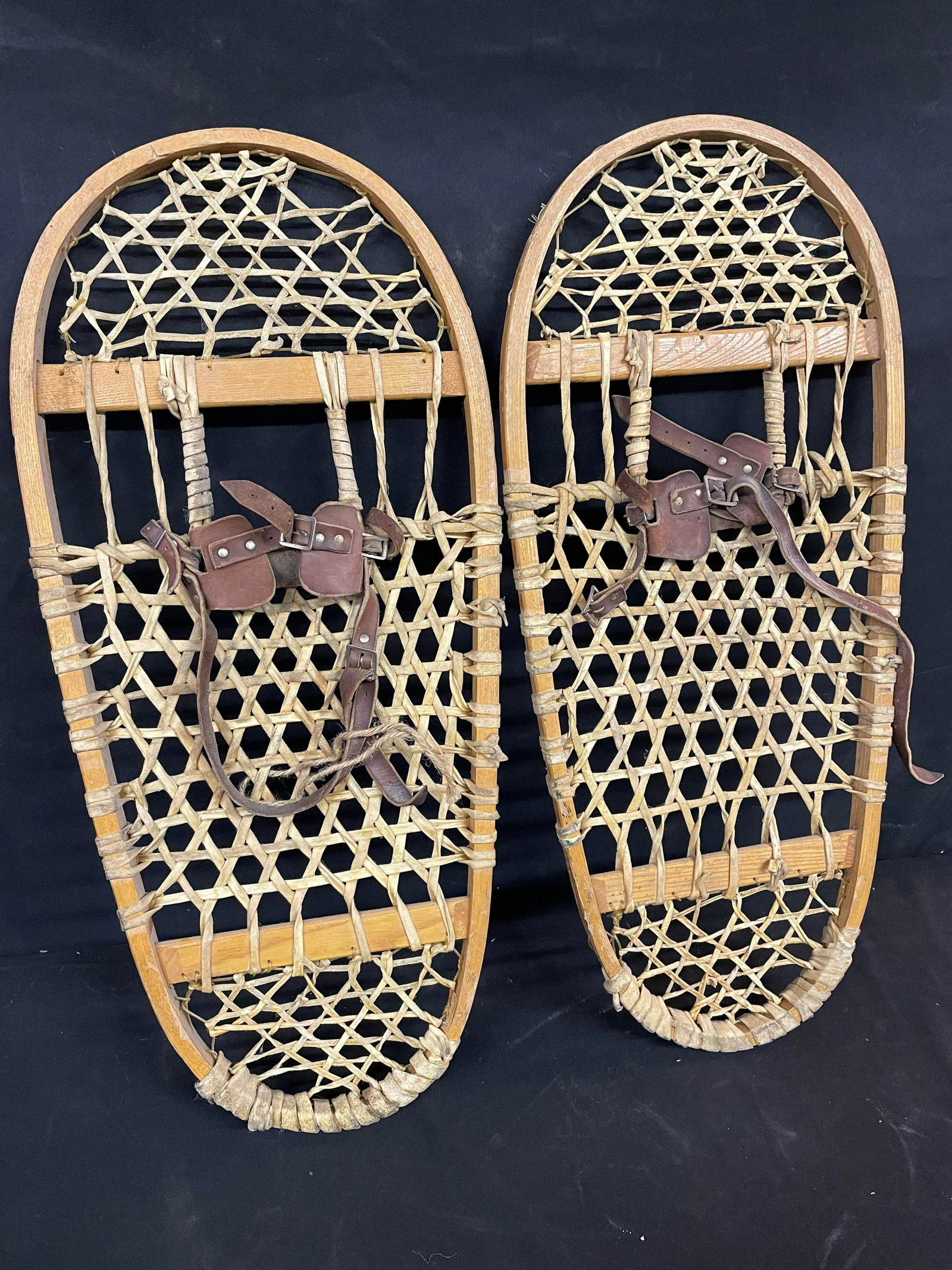 Pair Of Snow Shoes (1 of 1)