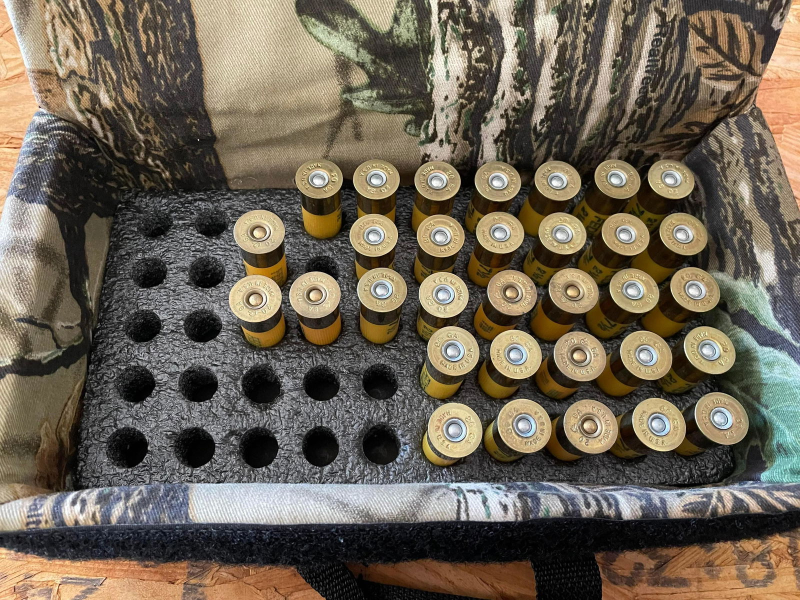 32 Shells .20 Gauge With Case (1 of 1)