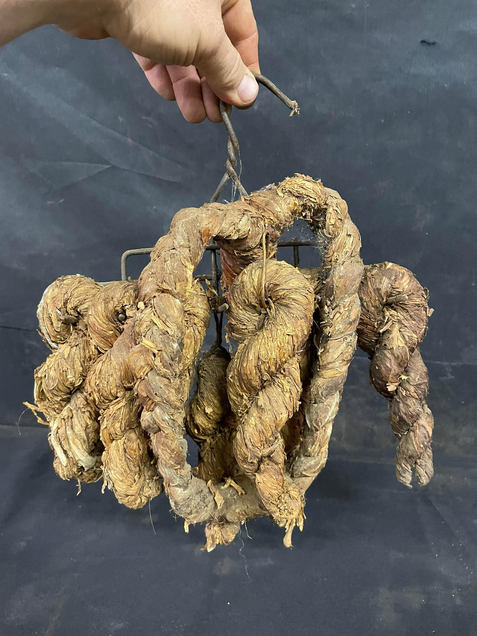 Early Wire Rack With Several Twists Of Tobacco: Early Wire Rack With Several Twists Of Tobacco