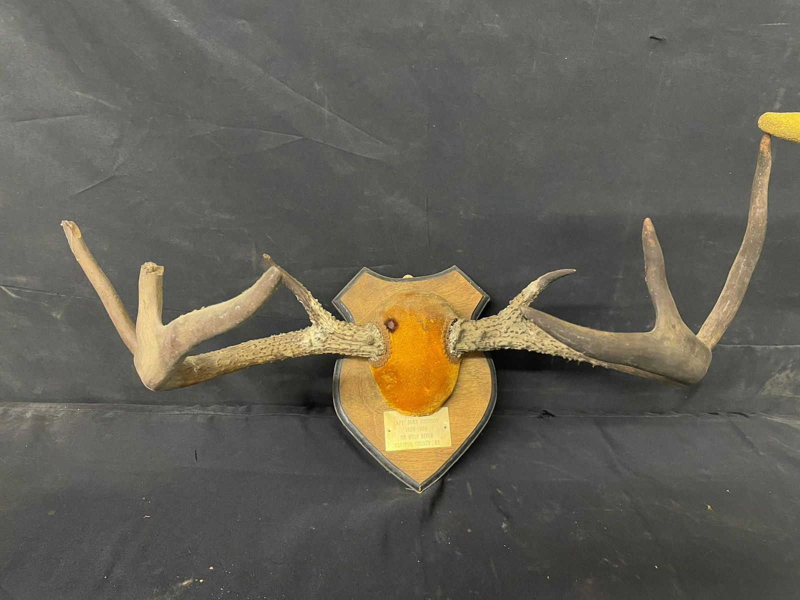 Deer Rack Mounted On Board With Engraved Plate Reading "Capt. John Johnson 1826-1909 On Wolf River (1 of 3)