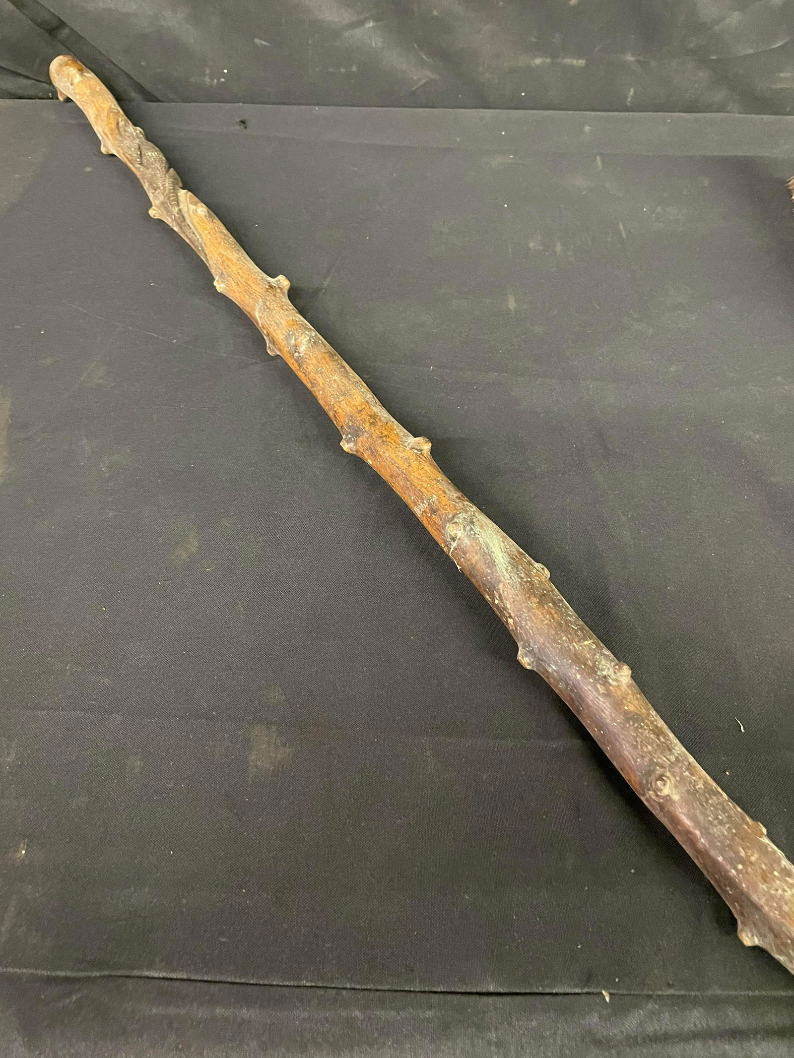 Antique Cane (1 of 3)