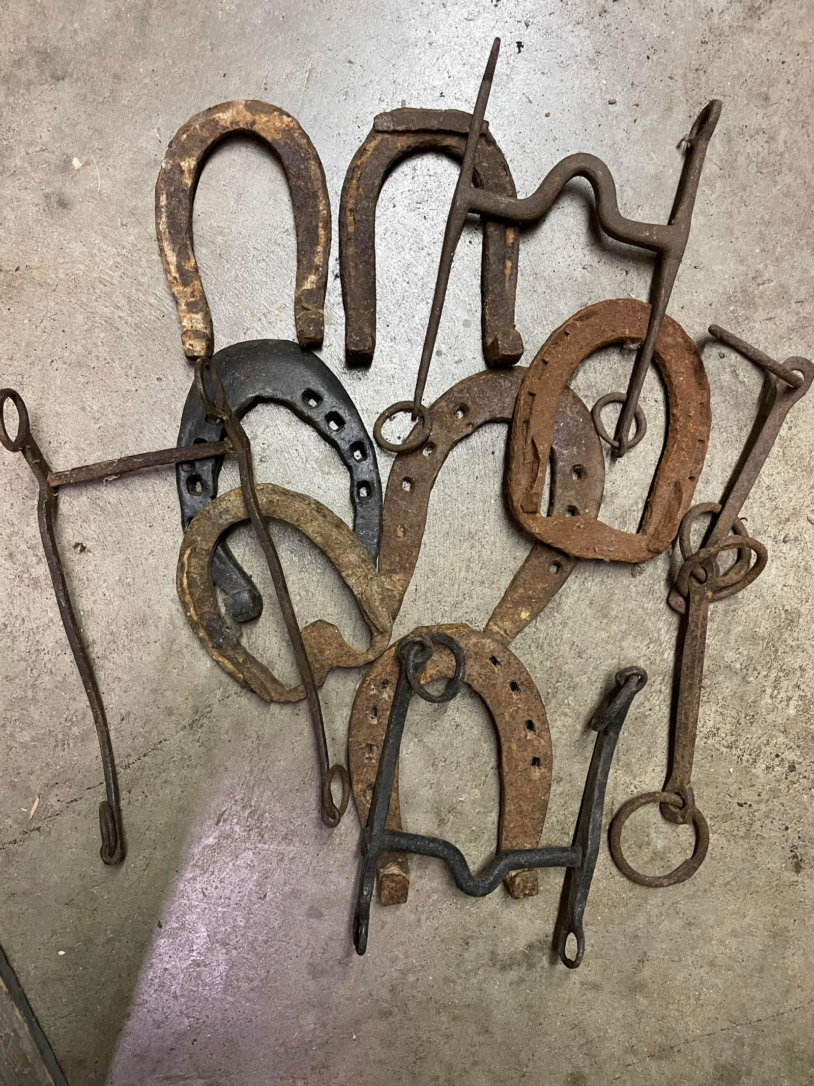 Primitive Horseshoes And Bridles (1 of 1)