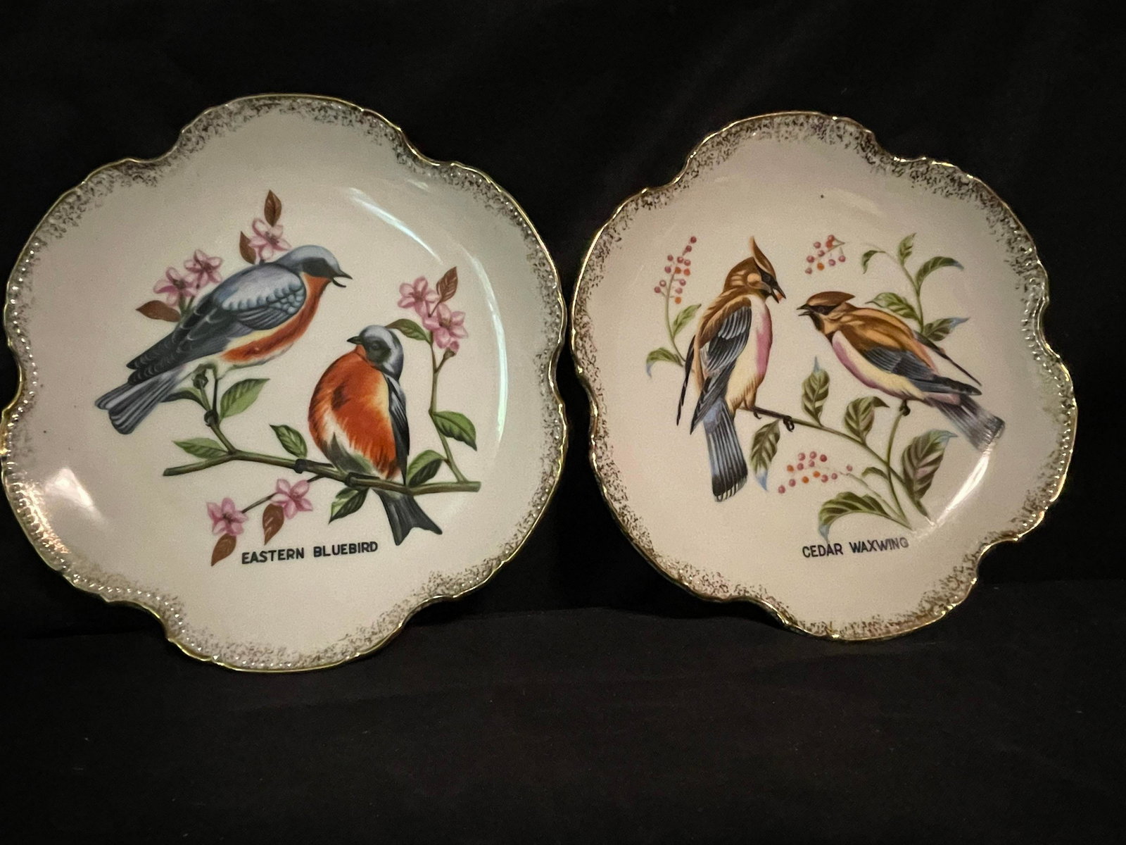 Pair Of Marked "Japan" Scalloped Edge Plate-Ware With Eastern Bluebird And Cedar Waxwing Depictions (1 of 2)