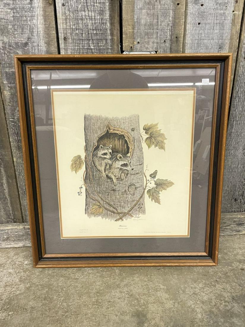 Framed Raccoon Print Signed By Artist 24"x28" (1 of 1)
