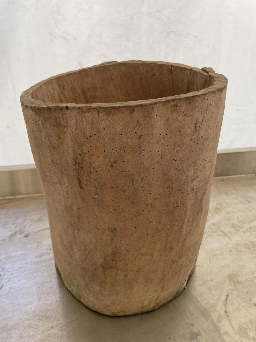 Rare Chestnut Tree Stump Piece - approx 20-24 inches tall (1 of 1)