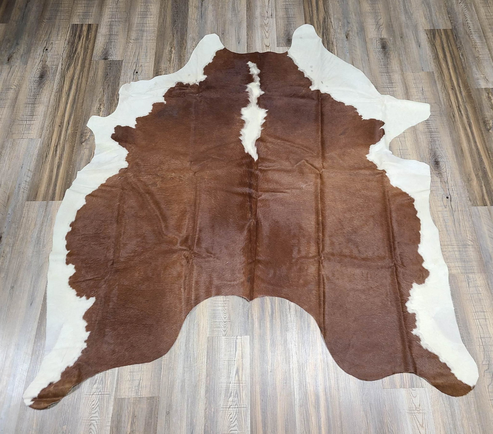 Hereford - Argentinian 81" x 75": Hereford - Argentinian 81" x 75"