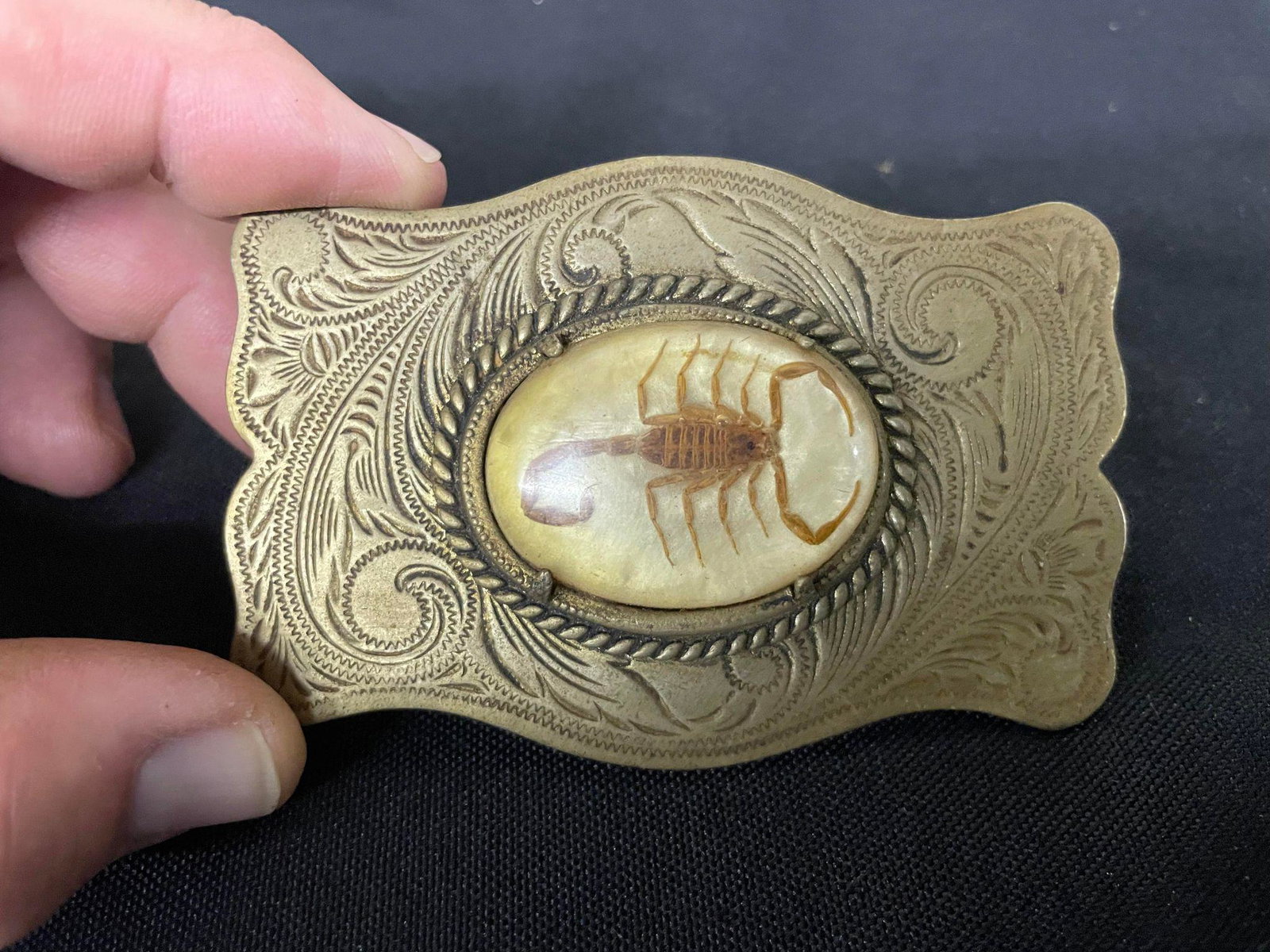 Vintage Scorpion Encased Belt Buckle: Vintage Scorpion Encased Belt Buckle