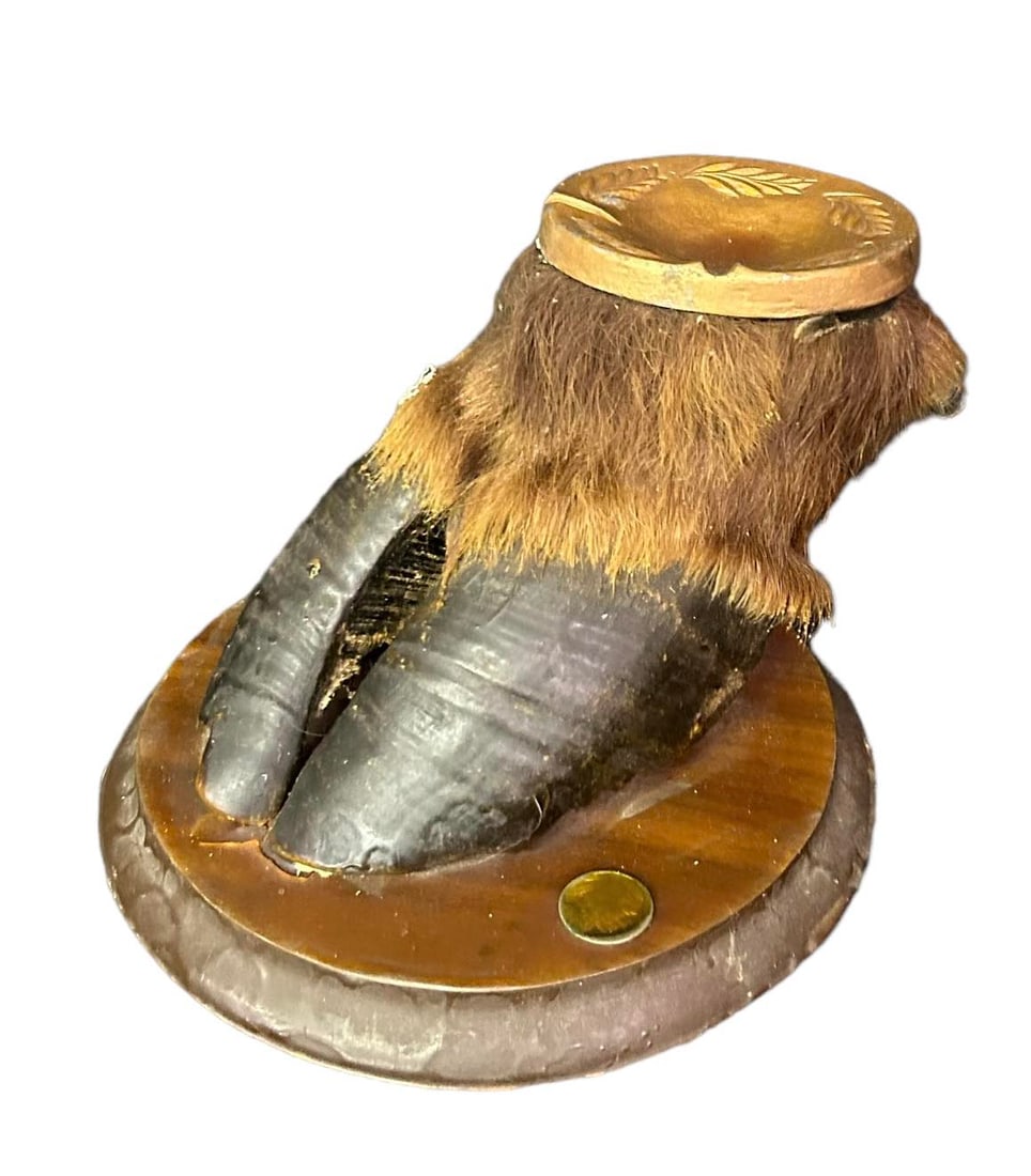 Buffalo Hoof Mounted Ashtray, 5"T x 8"W, 8"D (1 of 2)