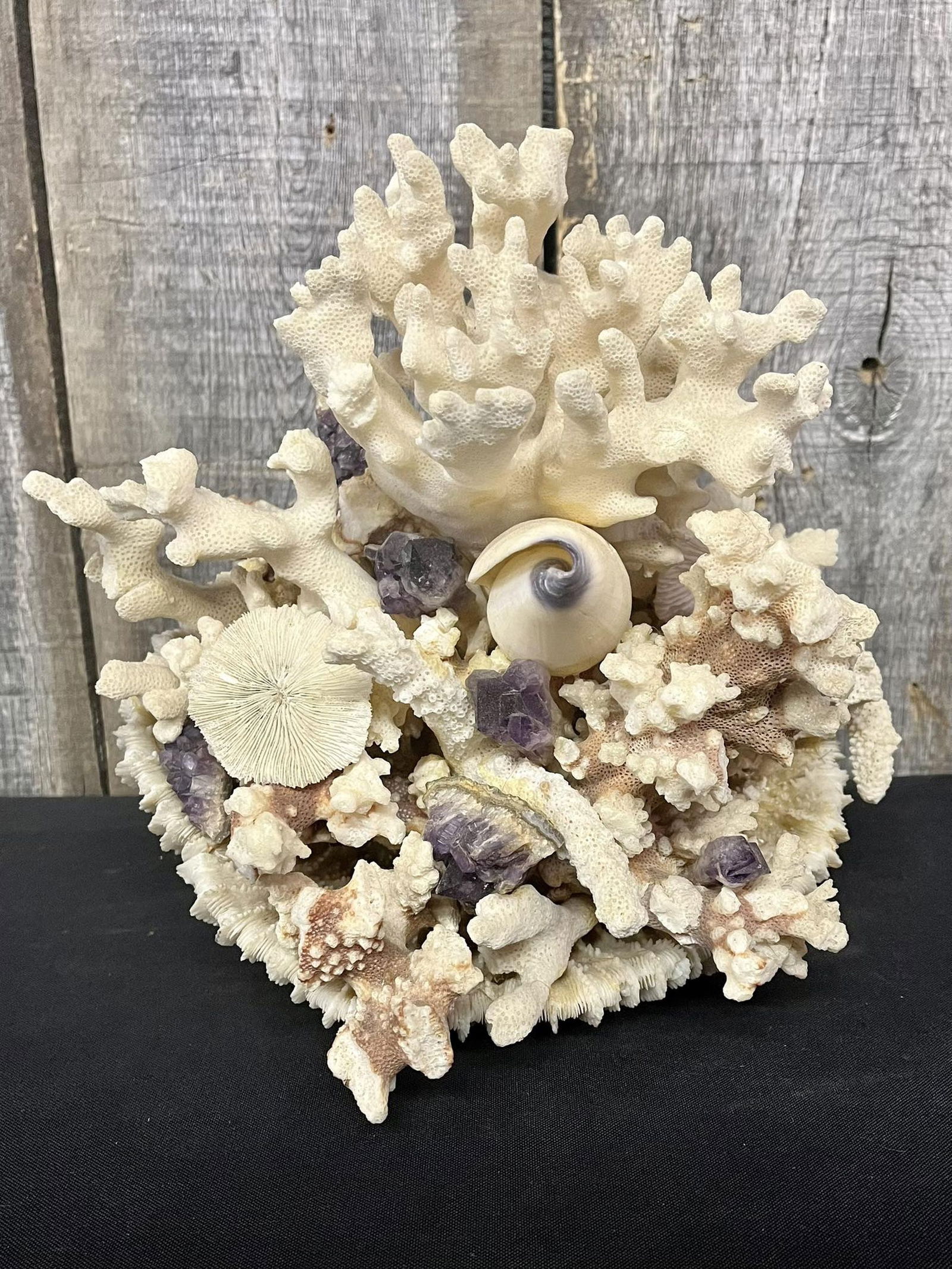 Dried Coral Reef Bunch With Seashell Auction