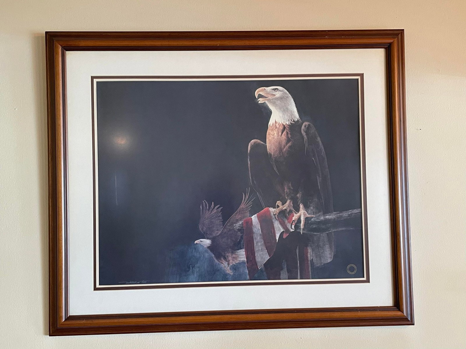 Bald Eagle Print by Mitchell Tolle: Bald Eagle Print by Mitchell Tolle