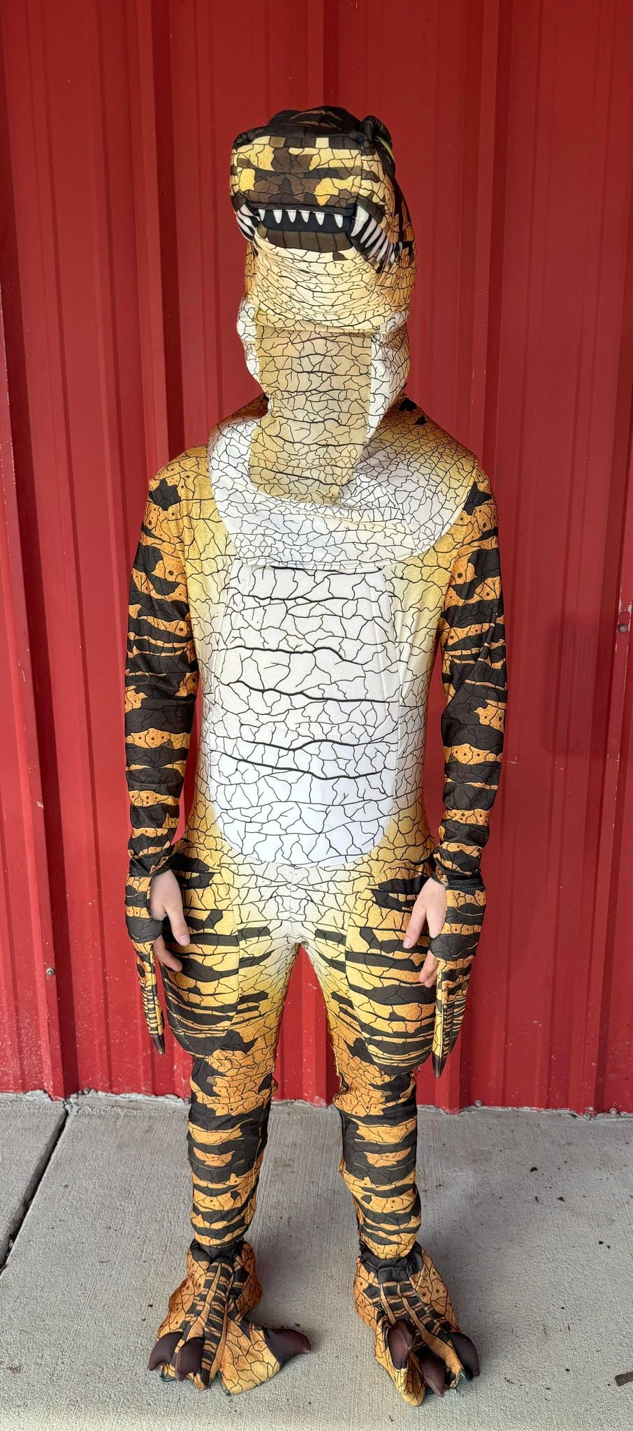 Full Size Adult Dinosaur Costume: Full Size Adult Dinosaur Costume