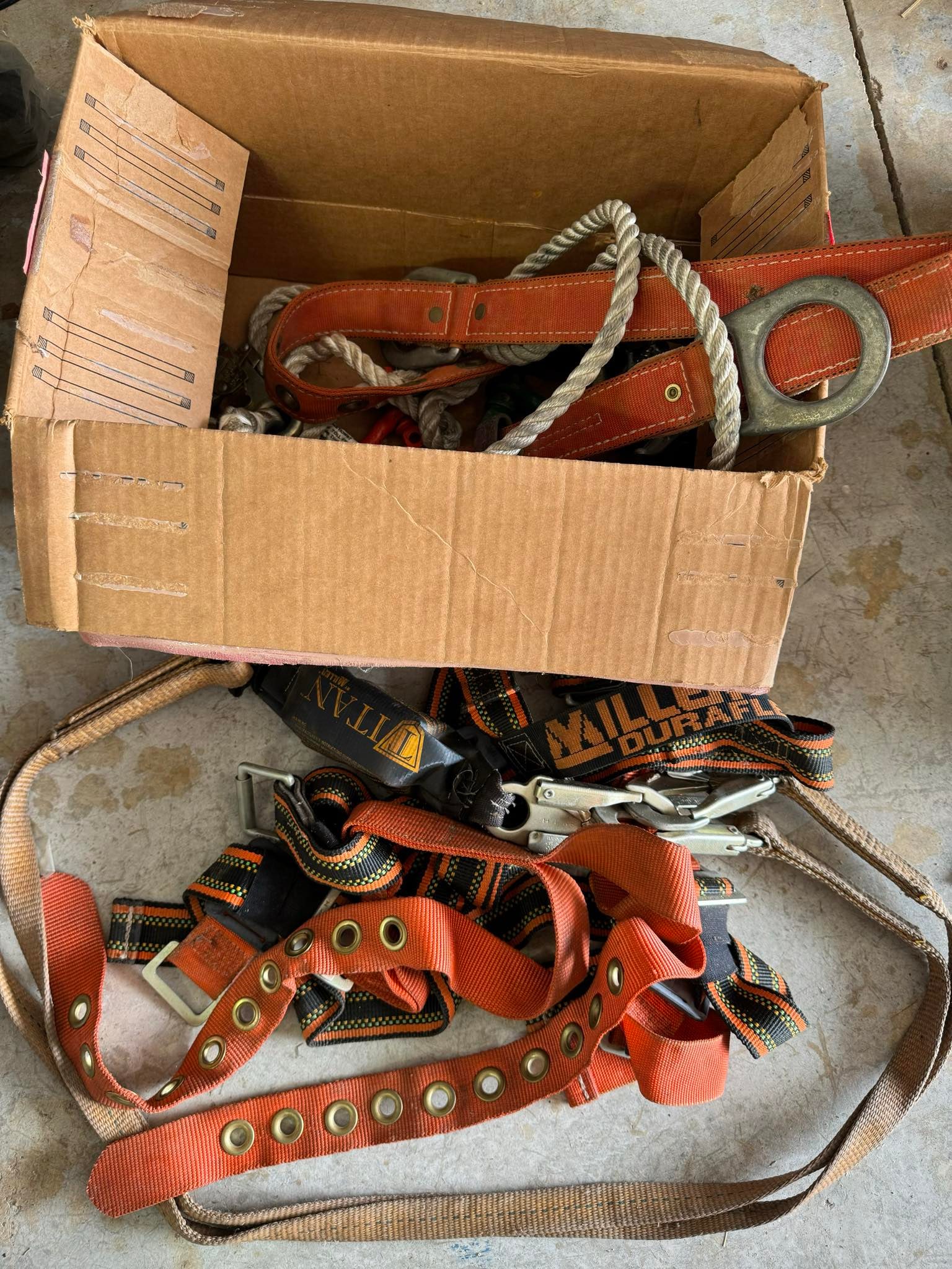 Collections of Straps and Belts: Collections of Straps and Belts