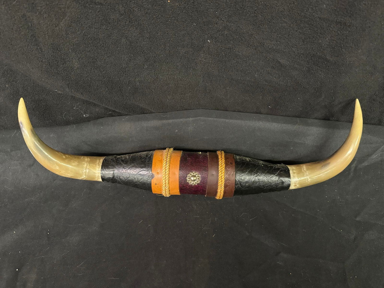 American Cattle Horn Wall Display (1 of 3)