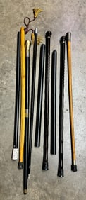 Collection of Canes