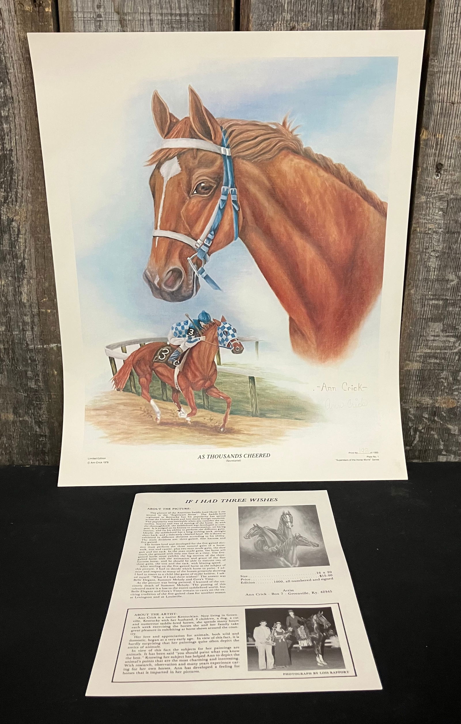 Artist Signed Secretariat Print By Ann Crick. "As Thousands Cheered (Secretariat" Limited Edition (1 of 4)
