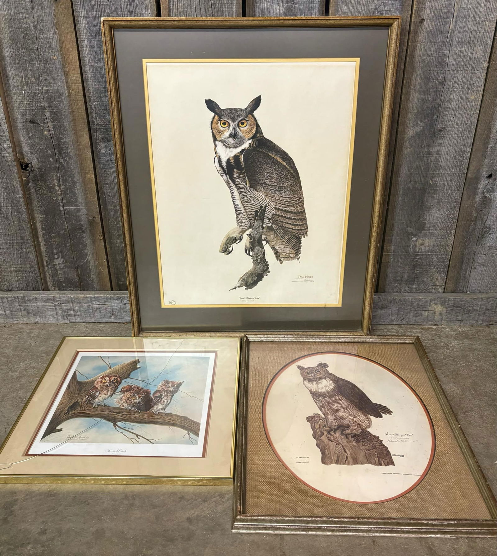 Lot Of 3 Framed Owl Prints Including "Great Horned Owl" By Ray Harm Measuring 27"X34", "Great Horned (1 of 5)