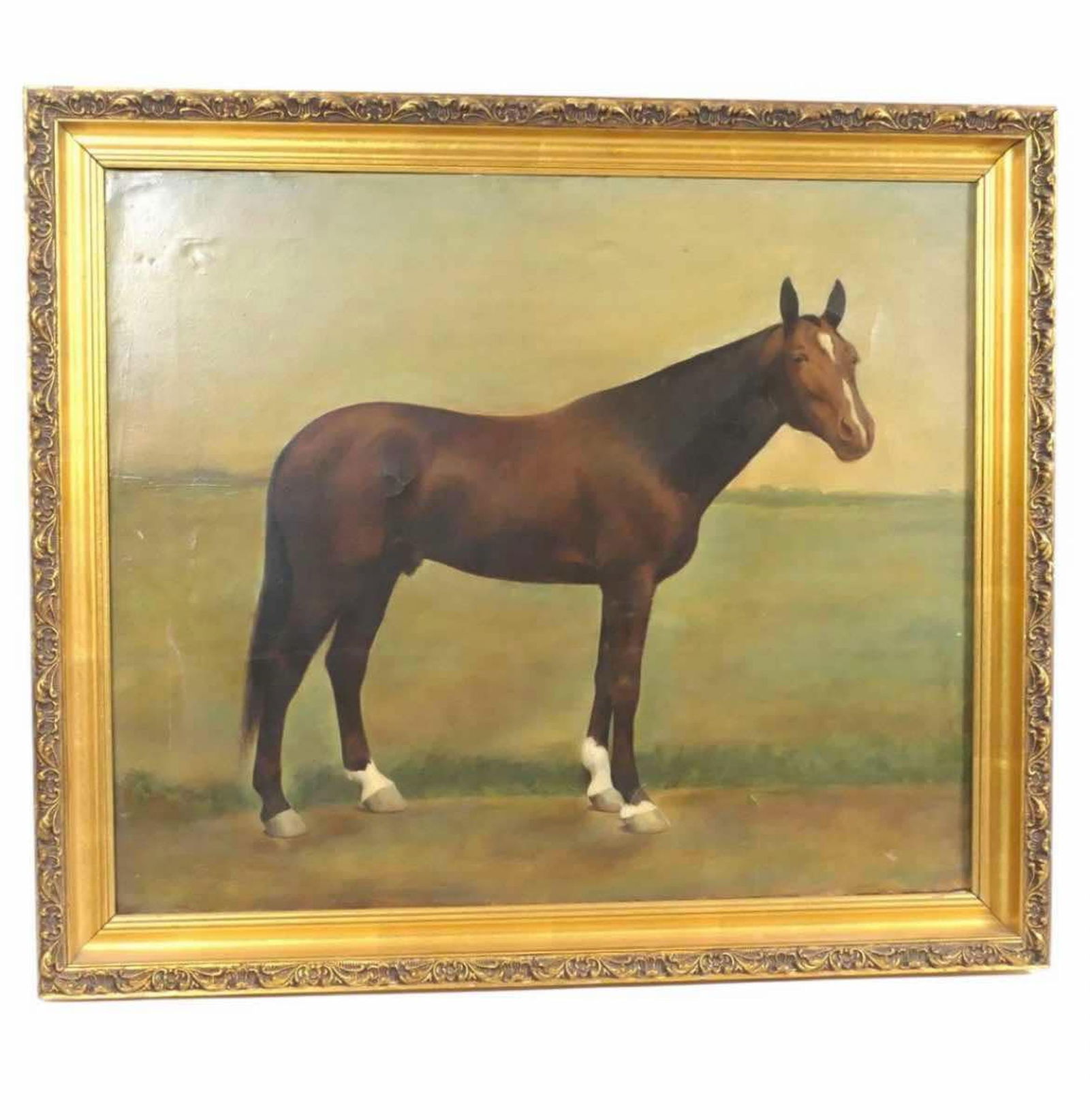 Oil On Canvas Of Horse In Gold Frame Has Some Cracking-Chipping 24"X28" (1 of 2)