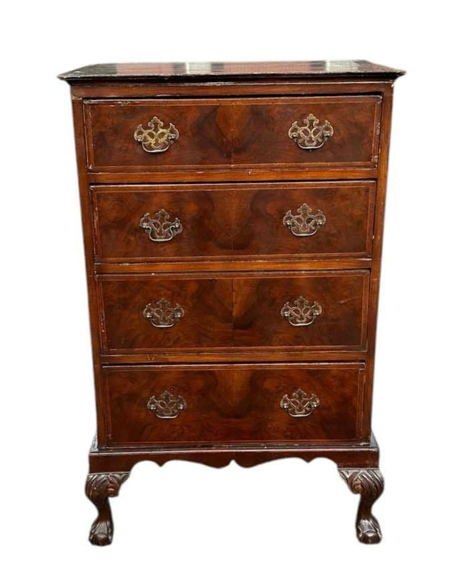 Early Chippendale Style Lingerie Chest With Burrled Front Drawers, Brass Batwing Hardware On Tall: Early Chippendale Style Lingerie Chest With Burrled Front Drawers, Brass Batwing Hardware On Tall Carved Feet 20"X29"X44"