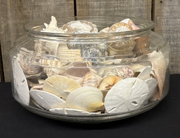 Large Glass Bowl With Collection Of Seashells - Sand Dollars 12"X7"
