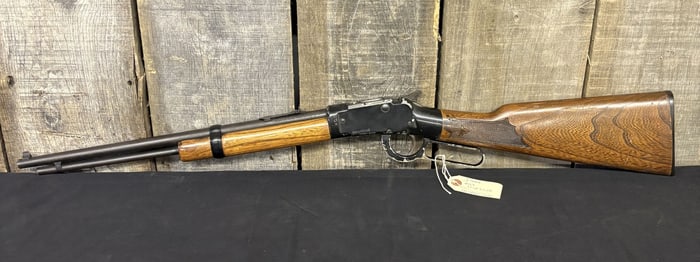 Ithaca M49 .22 S, L, L.R. Lever Action Design Serial:490575342 36"