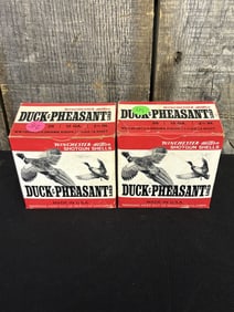 50 Shotshells 12 GA. Winchester App. 5"