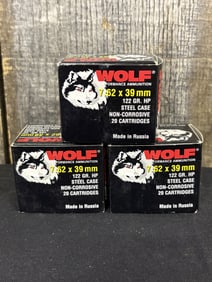 60 Rounds 7.62X39MM Wolf 122 GR. HP. App. 2.5"X5"