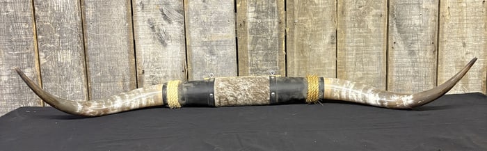 60" Wall Mounted Longhorns 16"H