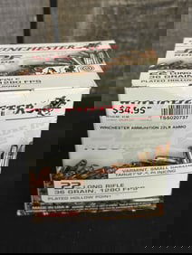 525 Rounds of Winchester .22 Long Rifle App. 2.5"X5"