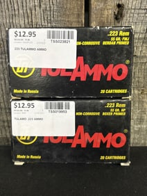 2 Full Boxes TulAmmo .223 Rem App. 2.5"X5"