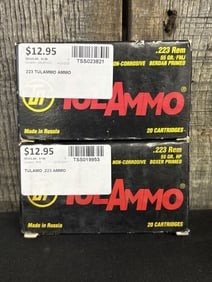 2 Full Boxes TulAmmo .223 Rem App. 2.5"X5"
