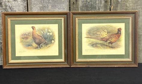 Game Birds Prints, 1930s, Framed, Set of 2 12"X11"